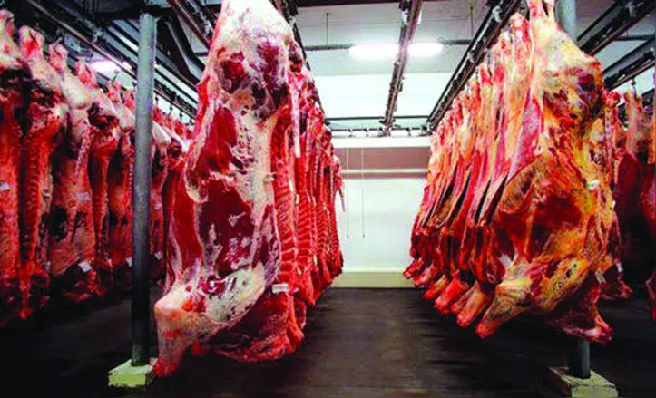 Brasil tem sido procurado por outros países que buscam produtos agrícolas e estão preocupados com um possível desabastecimento pós-pandemia