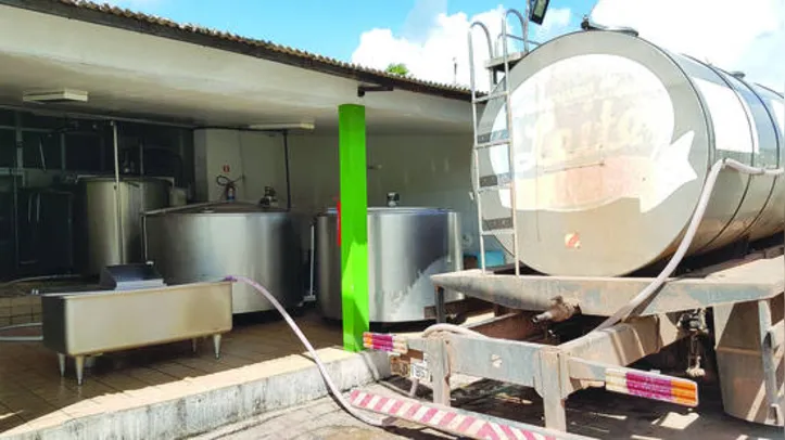 Segmento não para com produção diária de leite no campo, laticínios de pequeno e médio porte não têm onde estocar produção