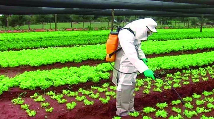 Imagem ilustrativa da imagem DICA RURAL (20 e 21/06/2020)