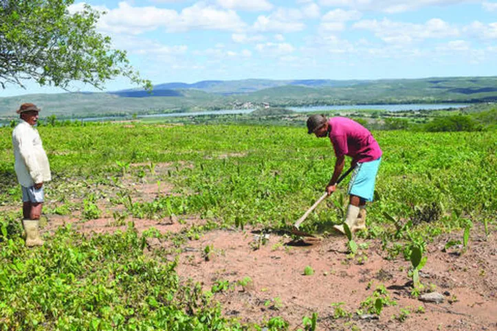 Governo anuncia medidas econômicas para ajudar produtores rurais afetados pela pandemia do Coronavírus