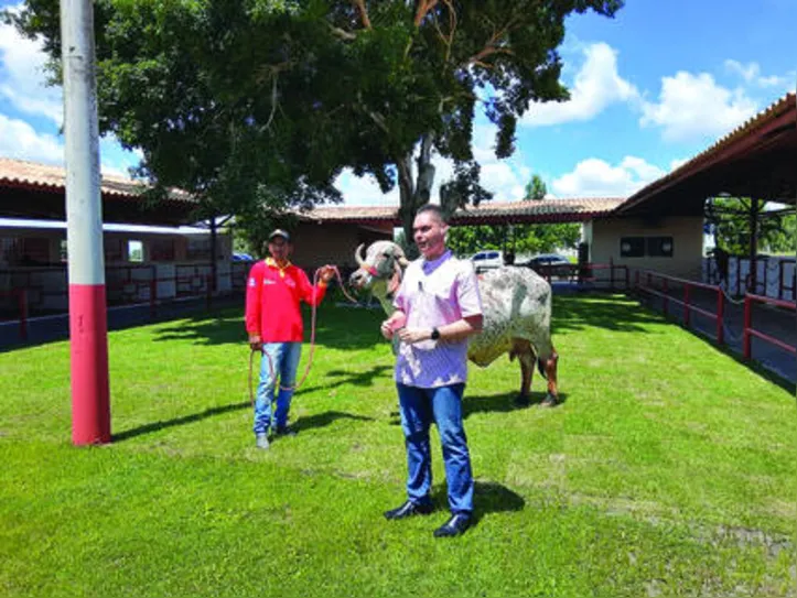 Agropecuária Pereira o 2º melhor expositor de meio-sangue girolando do país