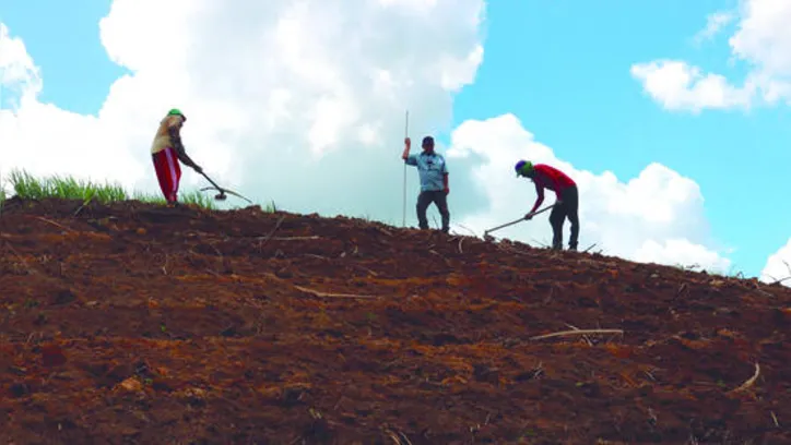 Objetivo é facilitar e agilizar o acesso ao crédito rural para aquisição de terras e infra estruturas básicas e produtivas, por meio do Terra Brasil