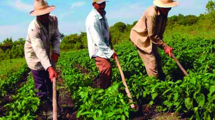 Serão destinados R$ 50 milhões para subvencionar a contratação de apólices de seguro rural em todo o país