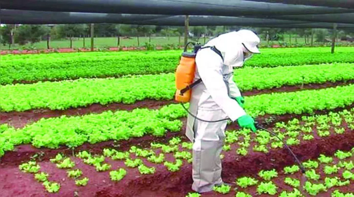 Ministério da Agricultura reforçou que todos os produtos foram também analisados e aprovados pelo Ibama e pela Anvisa