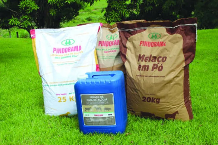 Melaço em pó e demais produtos da linha de nutrição animal de Pindorama