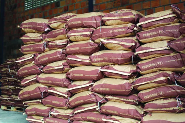 Na versão em pó, melaço atende demanda também da indústria, além da agropecuária