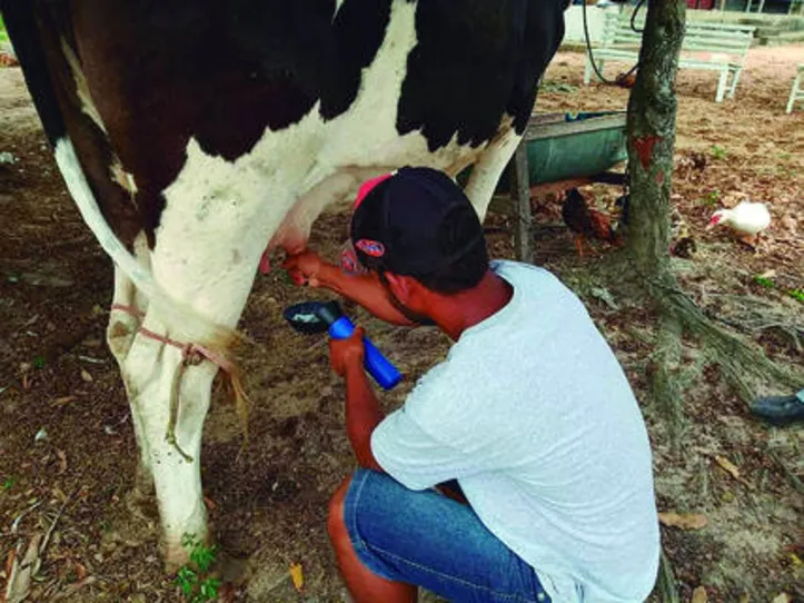 Agricultores familiares passam por dificuldades com atraso no pagamento