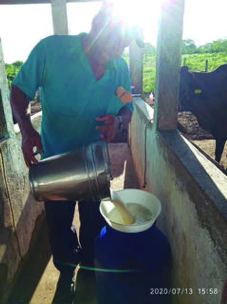 Os quase três mil agricultores familiares que fornecem leite para o programa estão sem receber os pagamentos há quase seis meses