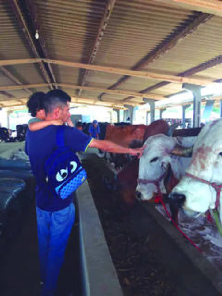 Exposição será a única realizada no modelo presencial na região Nordeste