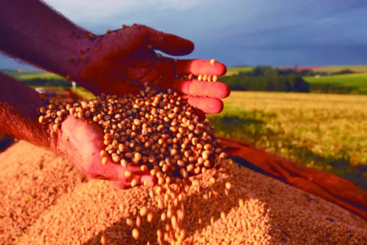 Recursos são usados por produtores rurais em investimentos para aumento da produção