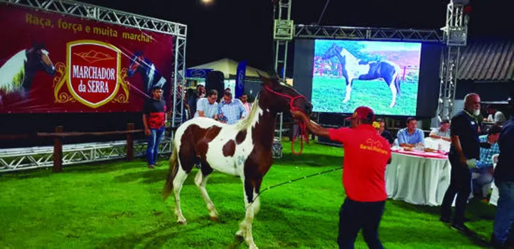 Evento é considerado a maior praça de negócios de bovinos, ovinos e equinos do Nordeste