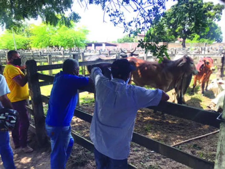 Para ter acesso a feira, além da obrigação do uso de máscara em todo a área do evento, os participantes tiveram verificada a temperatura, além de terem recebido álcool em gel para a higienização