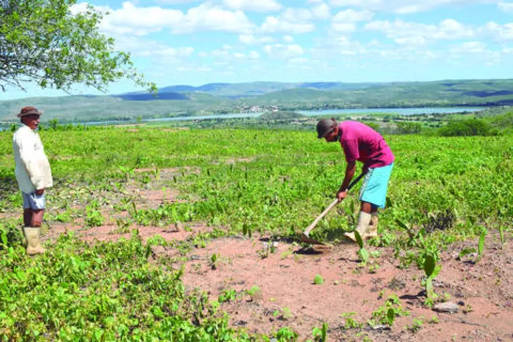 Inscrições de quase 700 mil agricultores familiares já foram feitas de forma automática