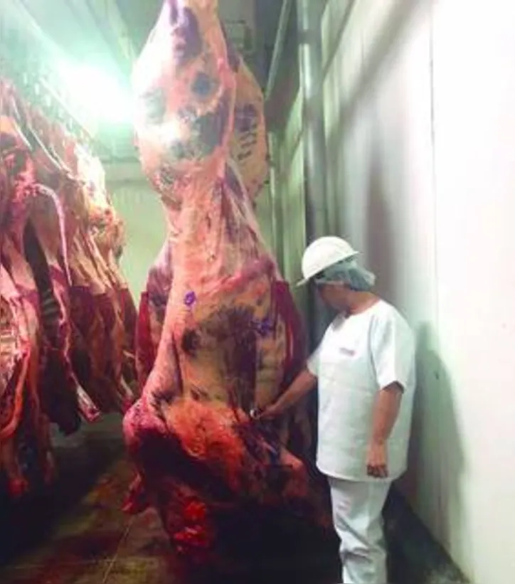 Consumo de carne na China ajudou a aquecer mercado junto com o aumento do preço do dólar