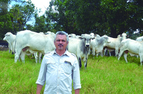 Marcelo Cordeiro destacou a qualidade genética dos animais do rebanho