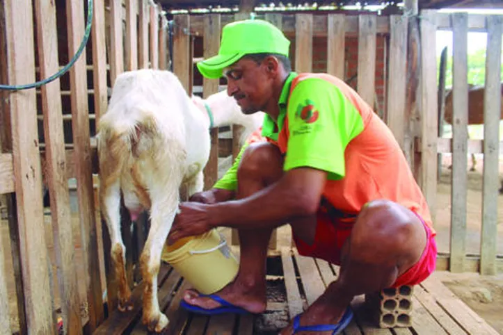 Para estimular a comercialização dos produtos da agricultura familiar, Mapa afirmou que compras governamentais de alimentos pode chegar a um bilhão de toneladas
