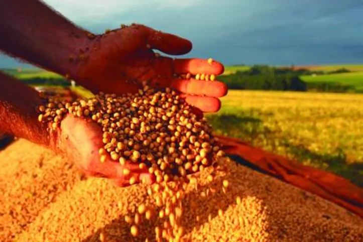 Imagem ilustrativa da imagem DICA RURAL (12 e 13/12/2020)
