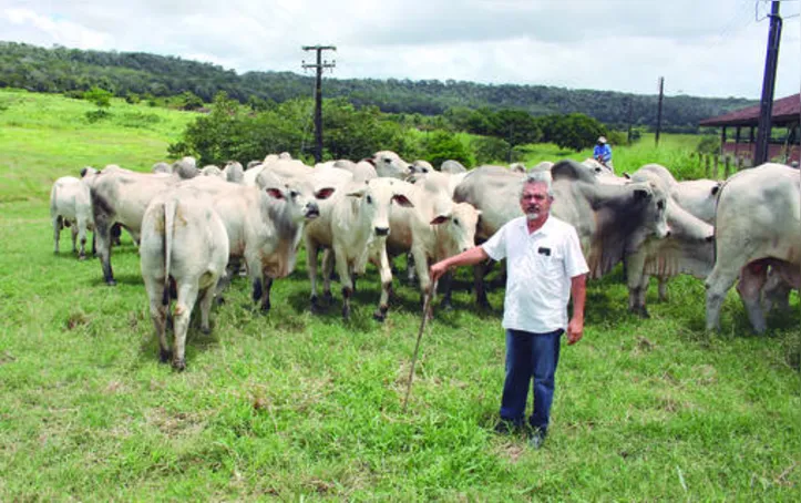 Imagem ilustrativa da imagem DICA RURAL (17 e 18/10/2020)
