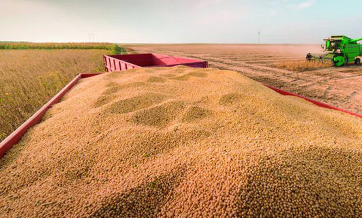 Imagem ilustrativa da imagem DICA RURAL (17 e 18/10/2020)