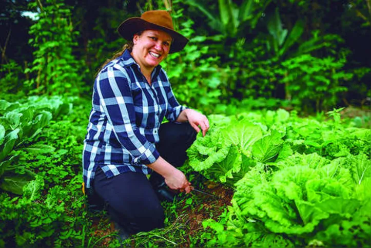 Imagem ilustrativa da imagem DICA RURAL (28 e 29/11/2020)