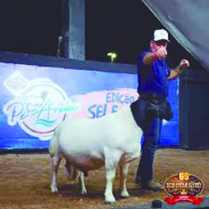 Expoagro deverá receber oito raças, sendo equinos mangalarga e quarto de milha; bovinos gir leiteiro, girolando e nelore; além dos ovinos santa inês, dorper e white dorper