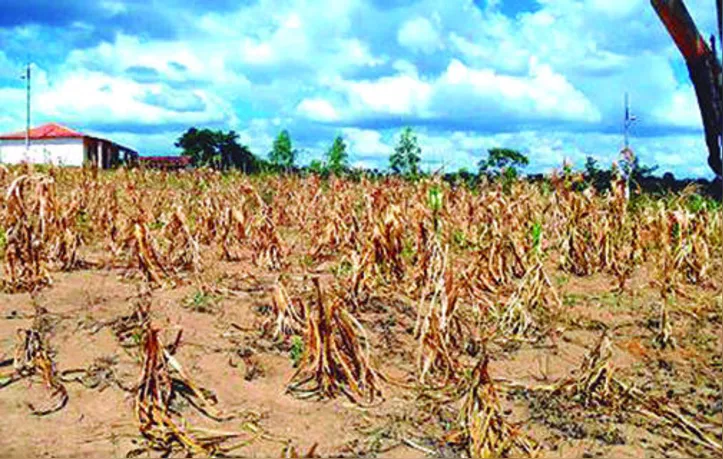 Verão começou e o fenômeno La Niña irá persistir durante toda a estação