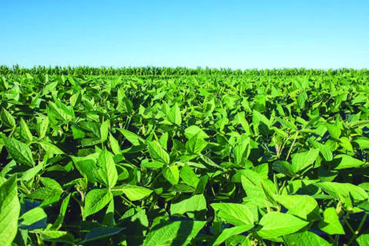 Investimentos e uso de novas tecnologias ampliaram os resultados na agricultura em Alagoas que deve colher frutos positivos em 2021