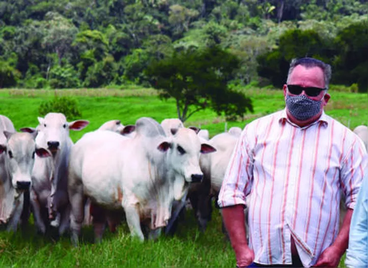 Hélio Teixeira afirmou que pecuarista precisa investir no mercado de carnes