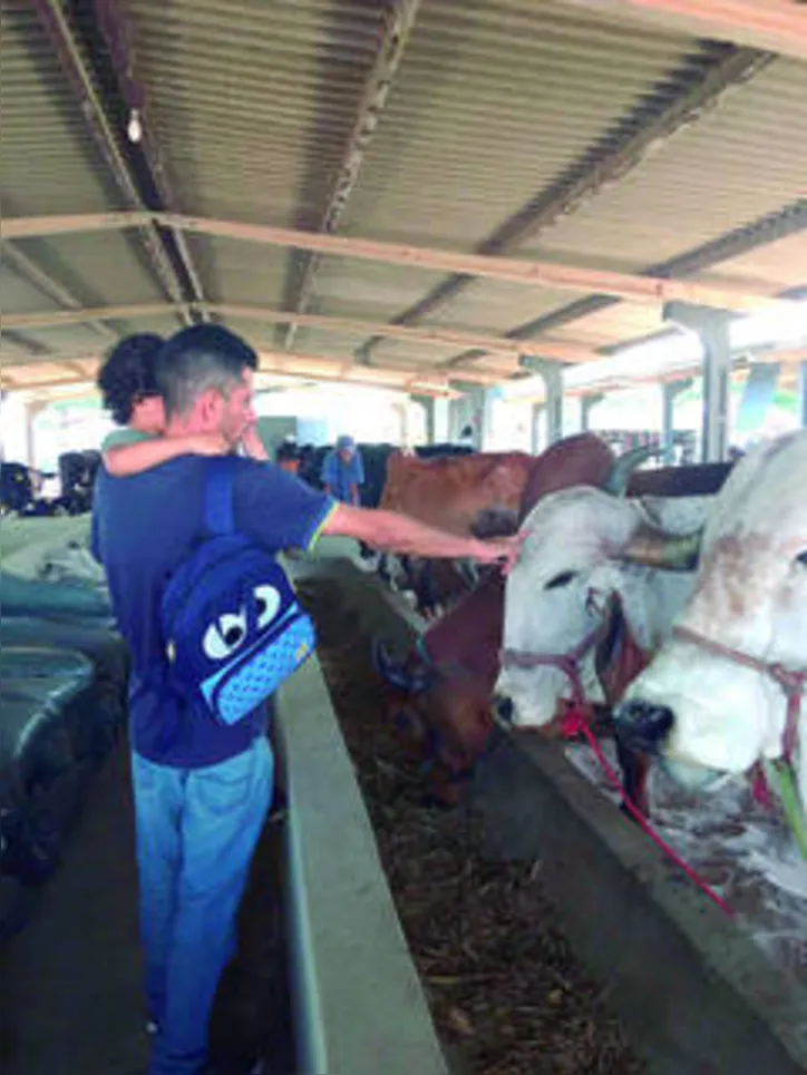 Exposição será a única realizada no Nordeste após o início da pandemia