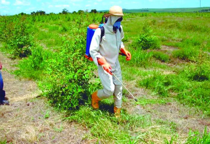 Produtos, biológicos, têm baixo impacto, são sustentáveis e podem ser usados na agricultura orgânica