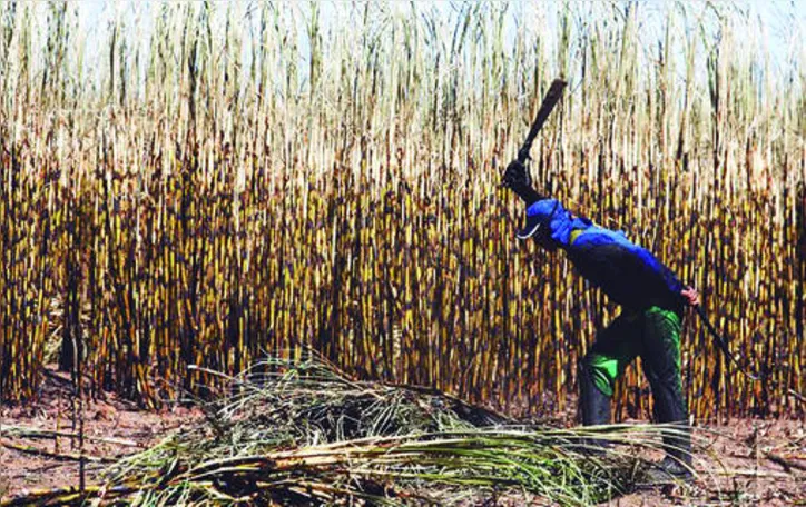 Até outubro, a variação era de – 14,9% em comparação ao mesmo período do ciclo passado