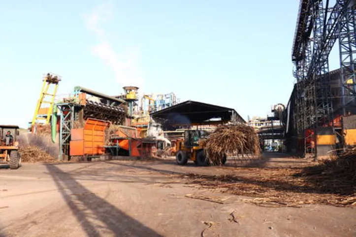 Setor canavieiro gera quase 55 mil postos de trabalho no campo e na indústria durante a moagem da cana em Alagoas