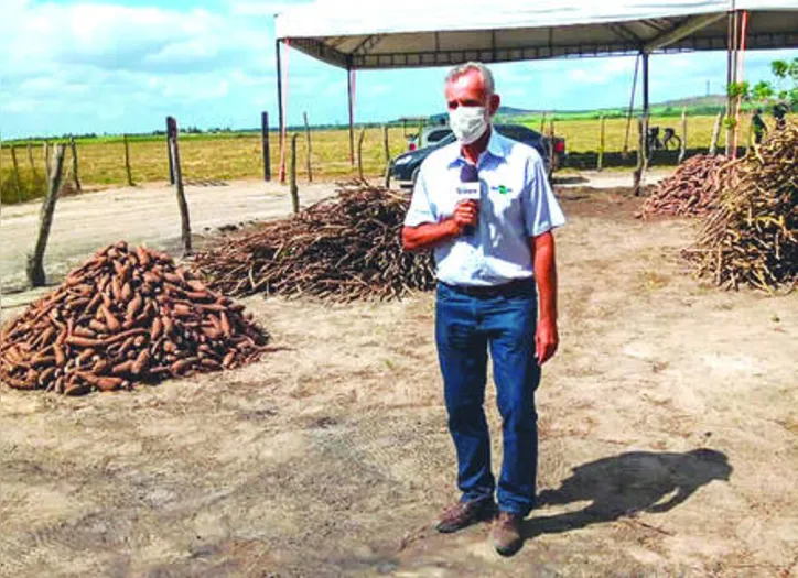 Para Santiago resultados das medições de produtividade após a colheita do experimento são surpreendentes