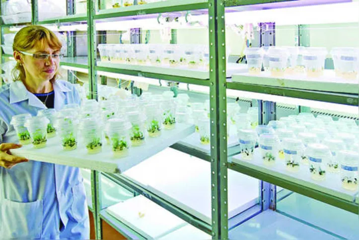 Crescimento do mercado brasileiro de defensivos biológicos segue tendência mundial de redução do uso de agroquímicos para combater pragas e doenças nas lavouras