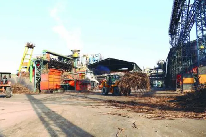 Dados da safra 20/21 são referentes a produção acumulada até o dia 15 de dezembro
