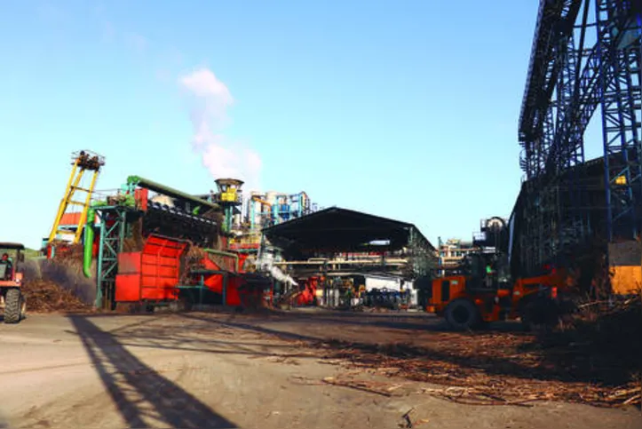 Dados da moagem são referentes a produção de apenas 13 unidades industriais do Estado