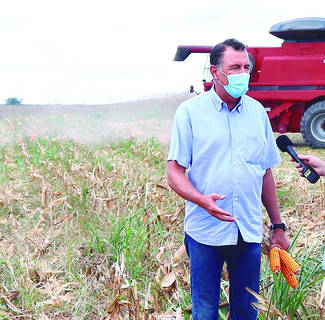 Hibernon Cavalcante afirmou que grãos e cana não estão em competição no Estado