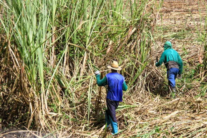 Homens foram os mais afetados pelas demissões, segundo pesquisa

