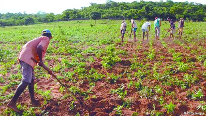 Espera de agricultores por sementes está perto do fim
