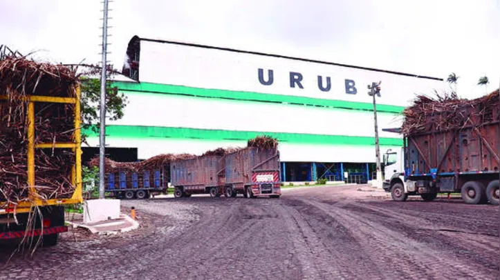Uruba, comandada por cooperativa de fornecedores de cana, deve produzir mais de 93 mil toneladas de açúcar