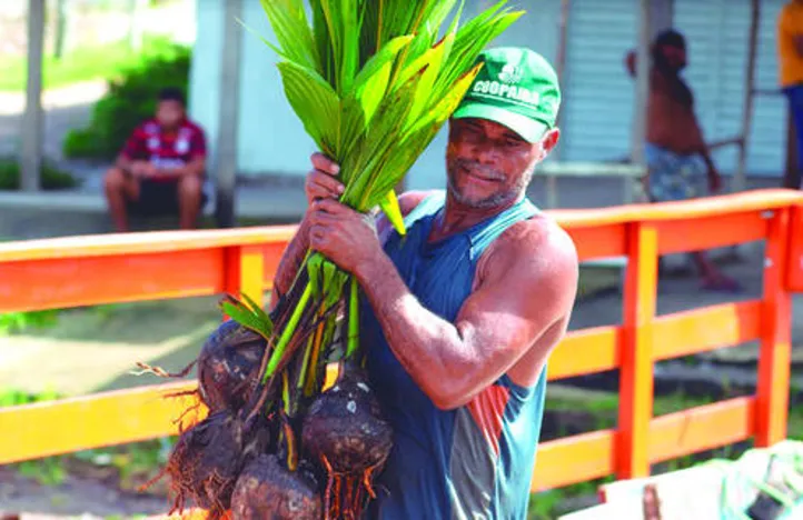 Até o final do próximo inverno serão quase 90 mil mudas desenvolvidas para beneficiar a agricultura familiar de forma gratuita e com qualidade genética