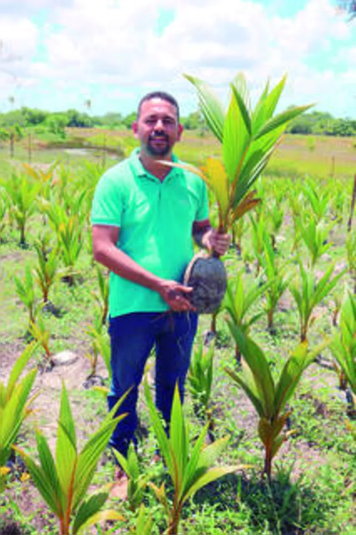 Antonino Carvalho declarou que mudário é o futuro da cooperativa e da produção de coco na região