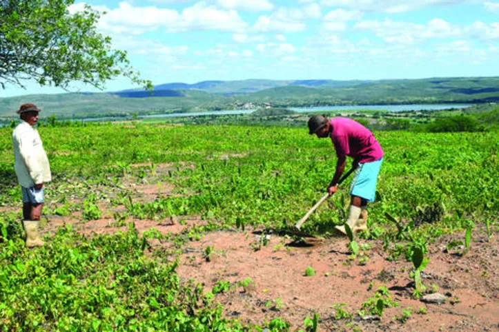 Imagem ilustrativa da imagem DICA RURAL (20 e 21/03/2021)