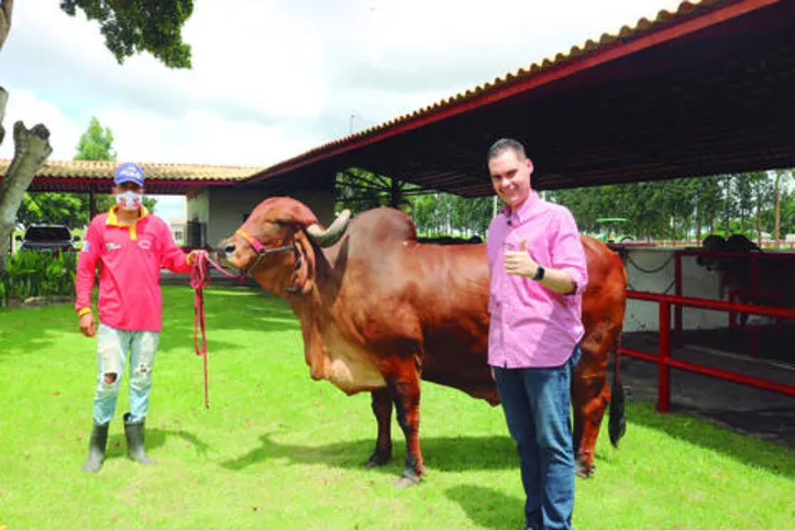 Imagem ilustrativa da imagem DICA RURAL (24 e 25/04/2021)