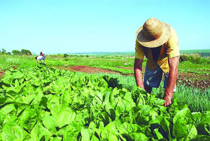 Imagem ilustrativa da imagem DICA RURAL (27 e 28/03/2021)