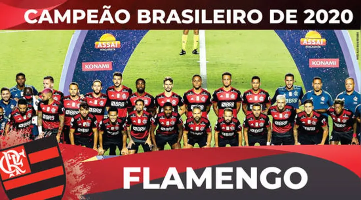 Imagem ilustrativa da imagem Flamengo é bicampeão brasileiro