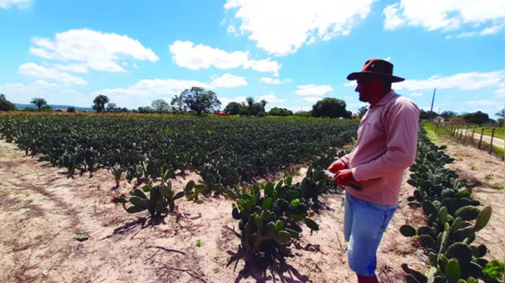 Declaração é o acesso do agricultor familiar às políticas públicas de crédito e aos programas de compras institucionais