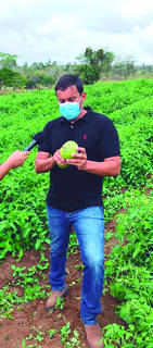 Produtor Humberto Cavalcante desenvolveu lavoura com super tomates em uma área de quatro tarefas de terra