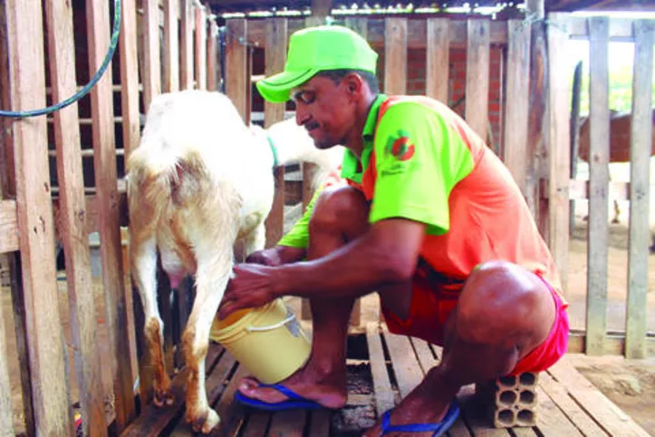 PAA oferece aos pequenos agricultores garantia de compra de sua produção, gerando renda e inclusão social no meio rural