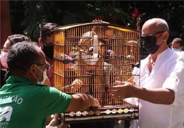 Soltura de aves na reserva foi uma das ações comemorativas pelos dez anos de criação